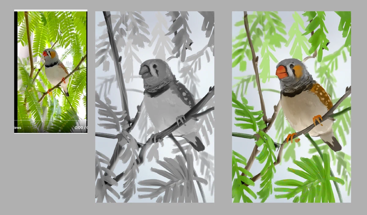 Birb